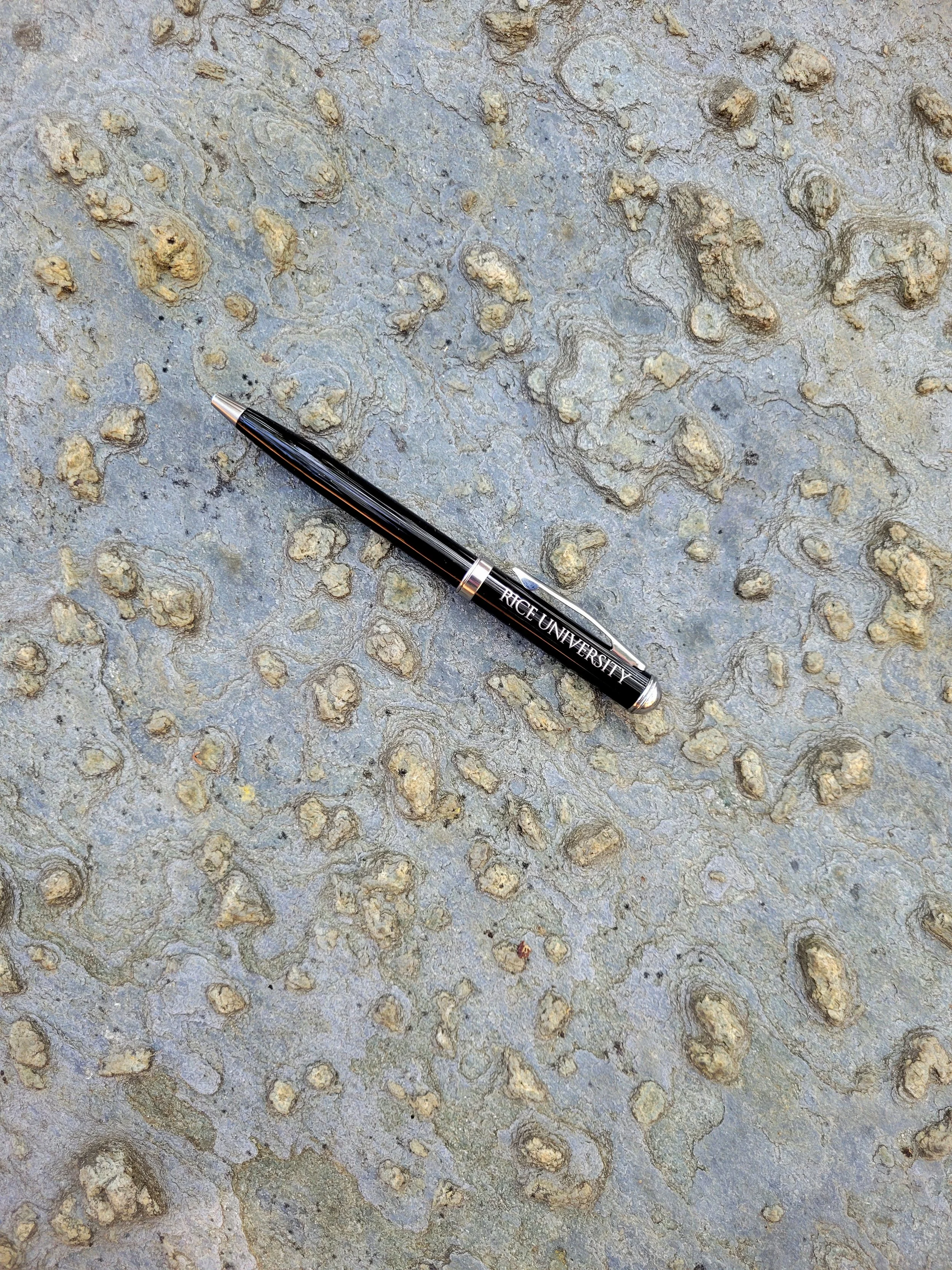 Lawsonite (pseudomorphs?) in blueschist. Franciscan Complex, CA.