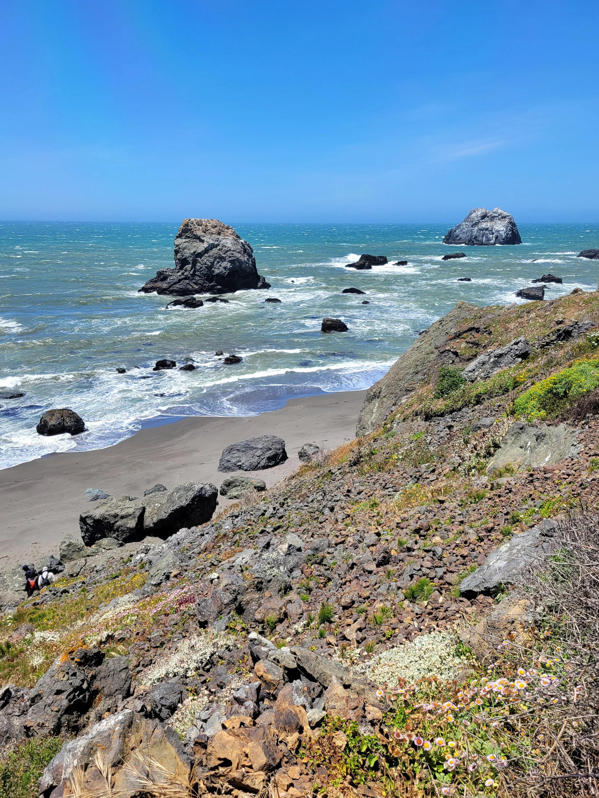 Outcrops and seafoam at Jenner Beach, Franciscan Complex, CA.