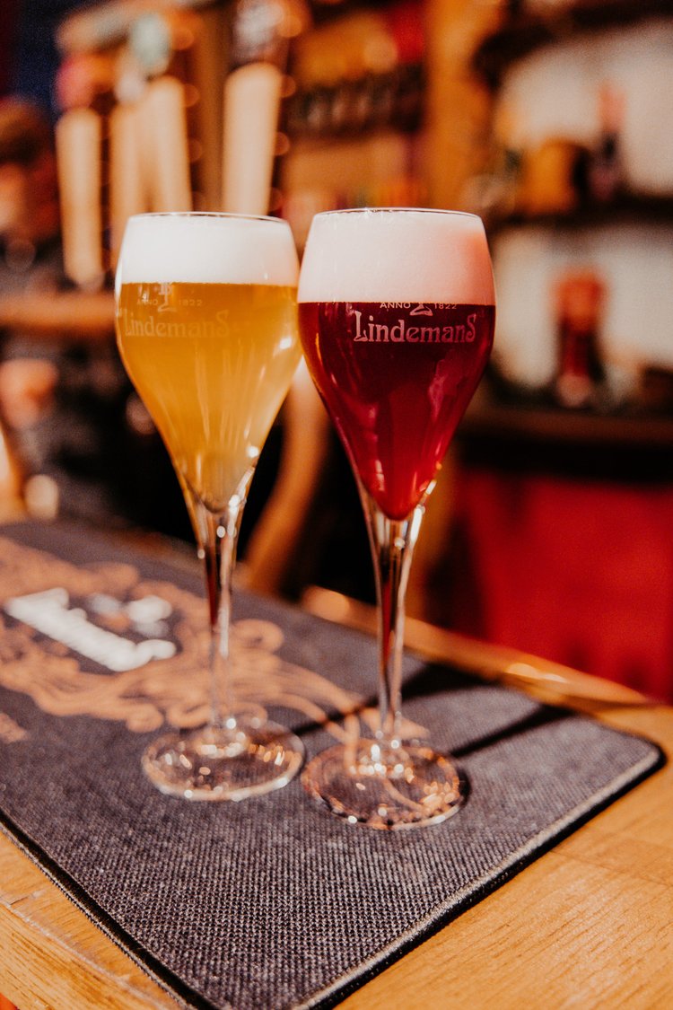 Sfeerbeeld van een bedrijfsevent door W&W Motions