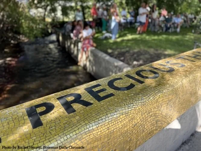 See Bozeman Creek Project - Visioning Process