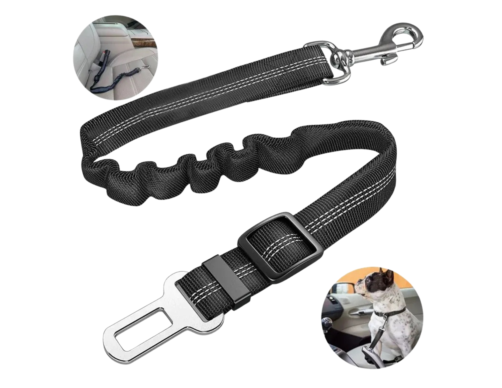 Pet Seatbelt Leash with Shock Absorbing Bungee