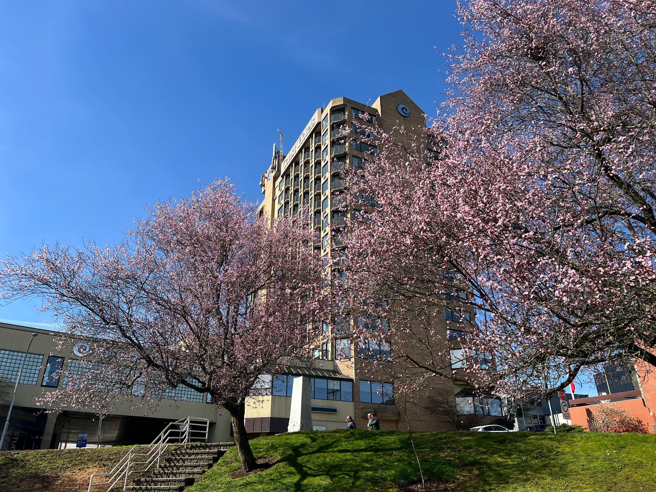 CBAH_Exterior Day_EDITED-20.jpg