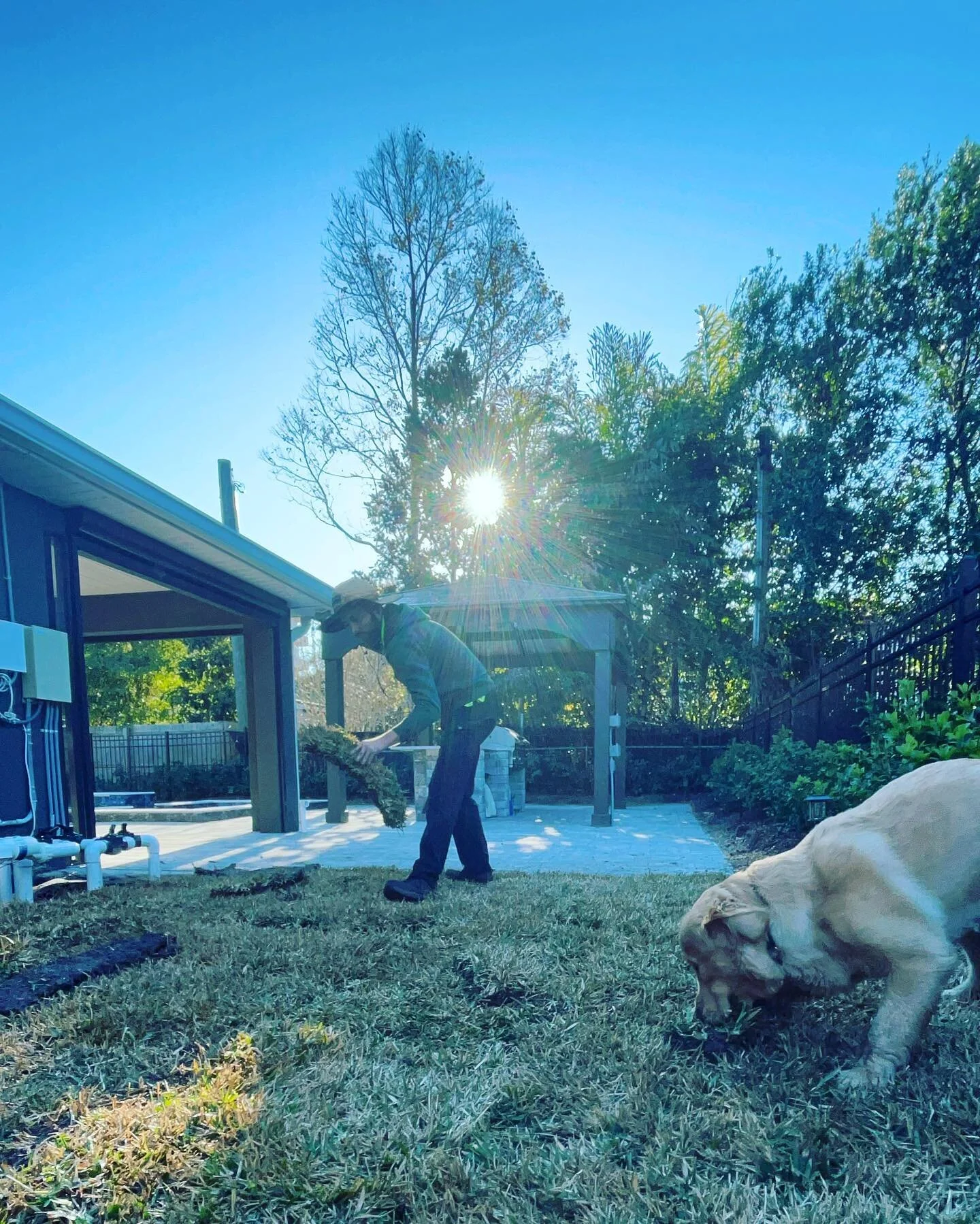 Our favorite part of new yards? The dogs that get to enjoy them long after we’re gone! 🤩 especially when they act as our fourth teammate!