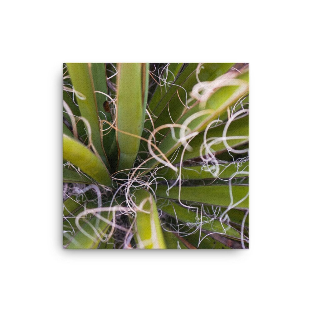 canvas-(in)-12x12-wall-6296ab5aae343.jpg