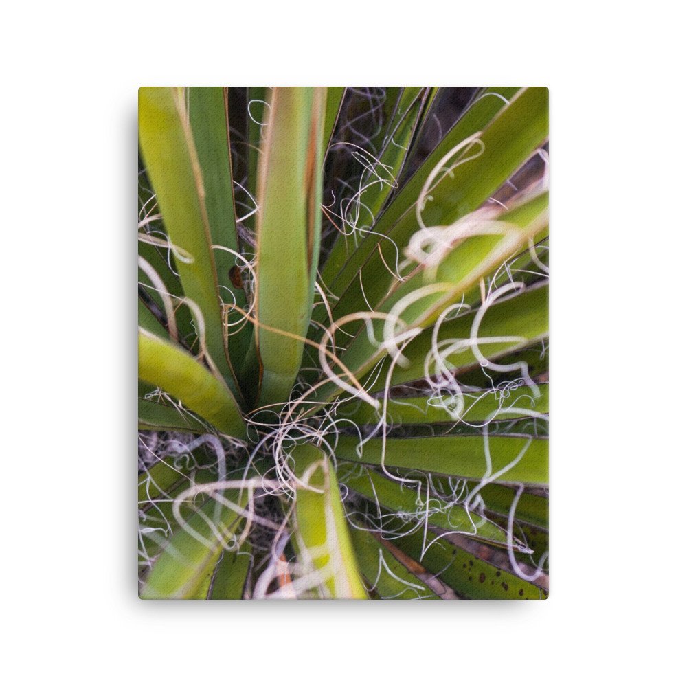 canvas-(in)-16x20-wall-6296ab5aae511.jpg