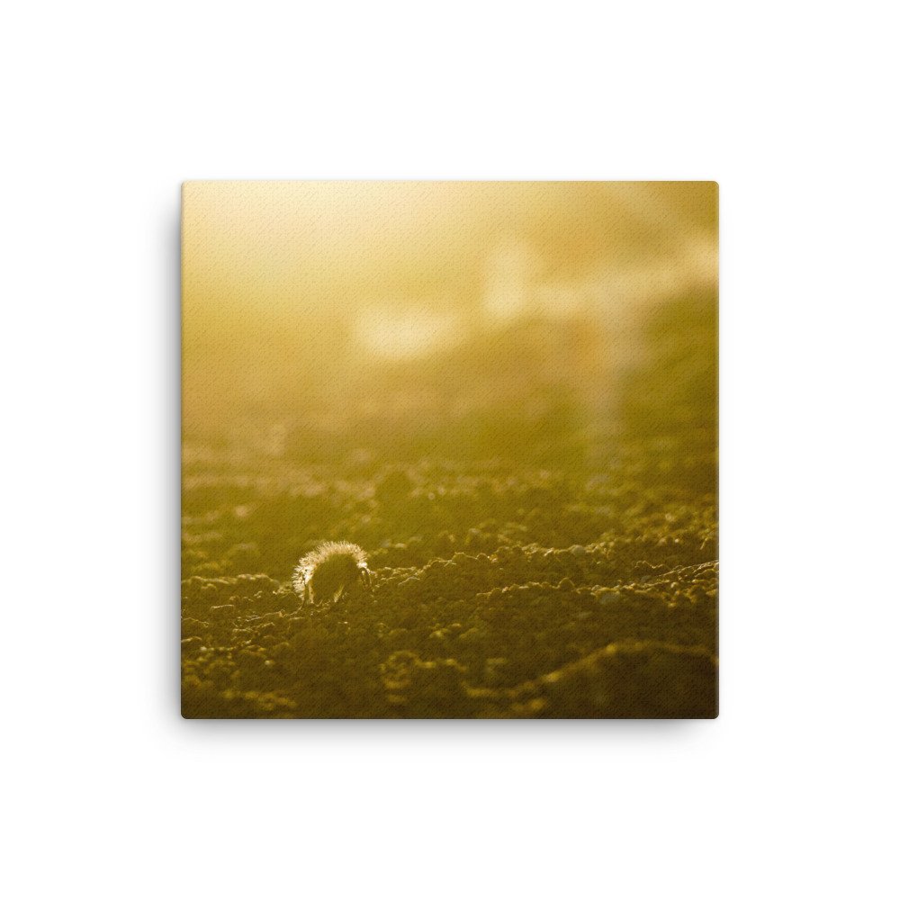 canvas-(in)-12x12-wall-6296ad3d944b0.jpg