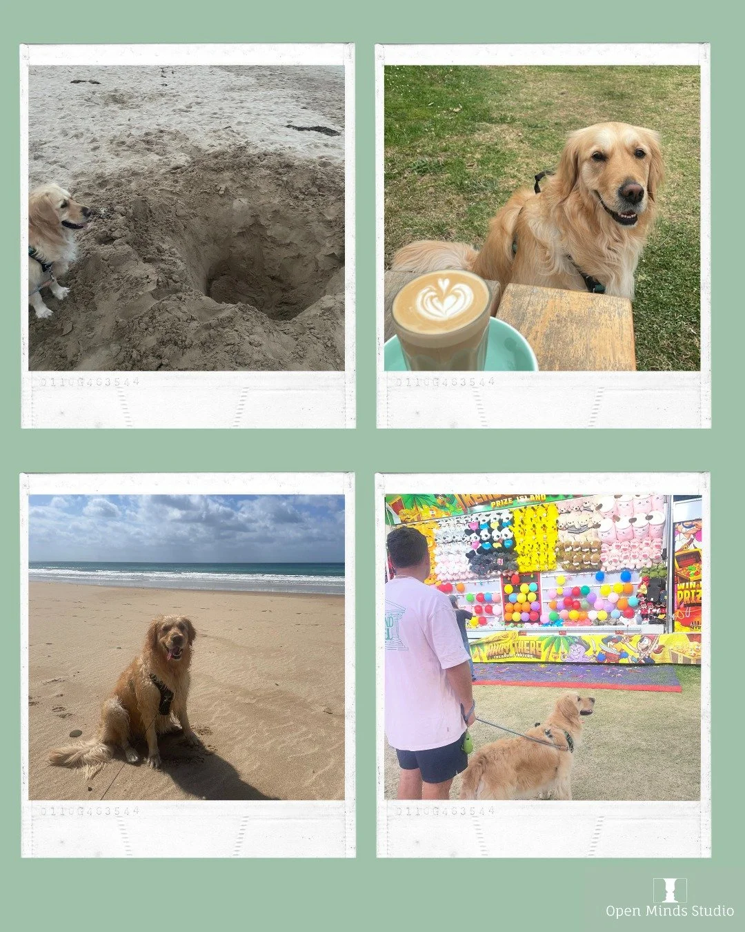 Over the summer break, Phillie enjoyed fresh air, plenty of walks and some beach time to practice her digging talents 🐾