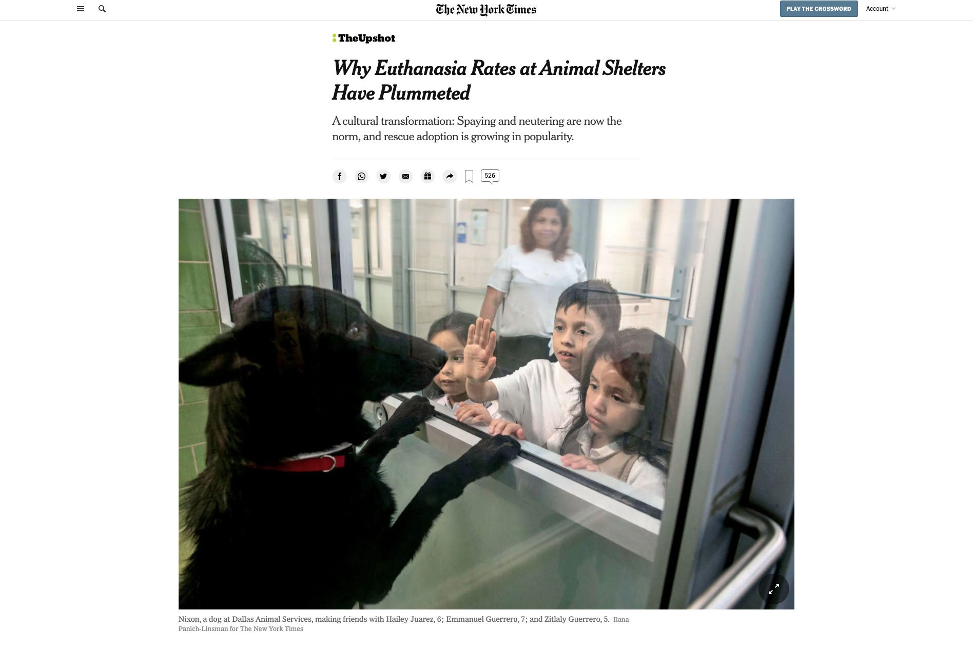   Photography:   Ilana Panich-Linsman    Photo Editing:  Stephen Reiss   Story:   Why Euthanasia Rates at Animal Shelters Have Plummeted  