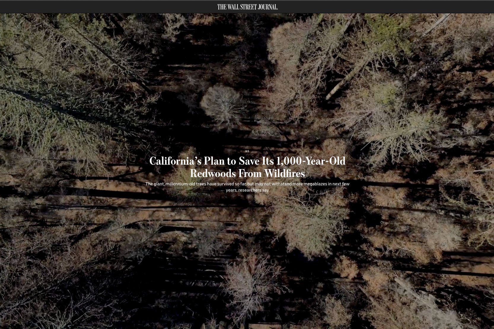   Photography and Video:   Talia Herman  and  Angela Owens    Photo and Video Editing:  Stephen Reiss   Story:   California’s Plan to Save Its 1,000-Year-Old Redwoods From Wildfires  