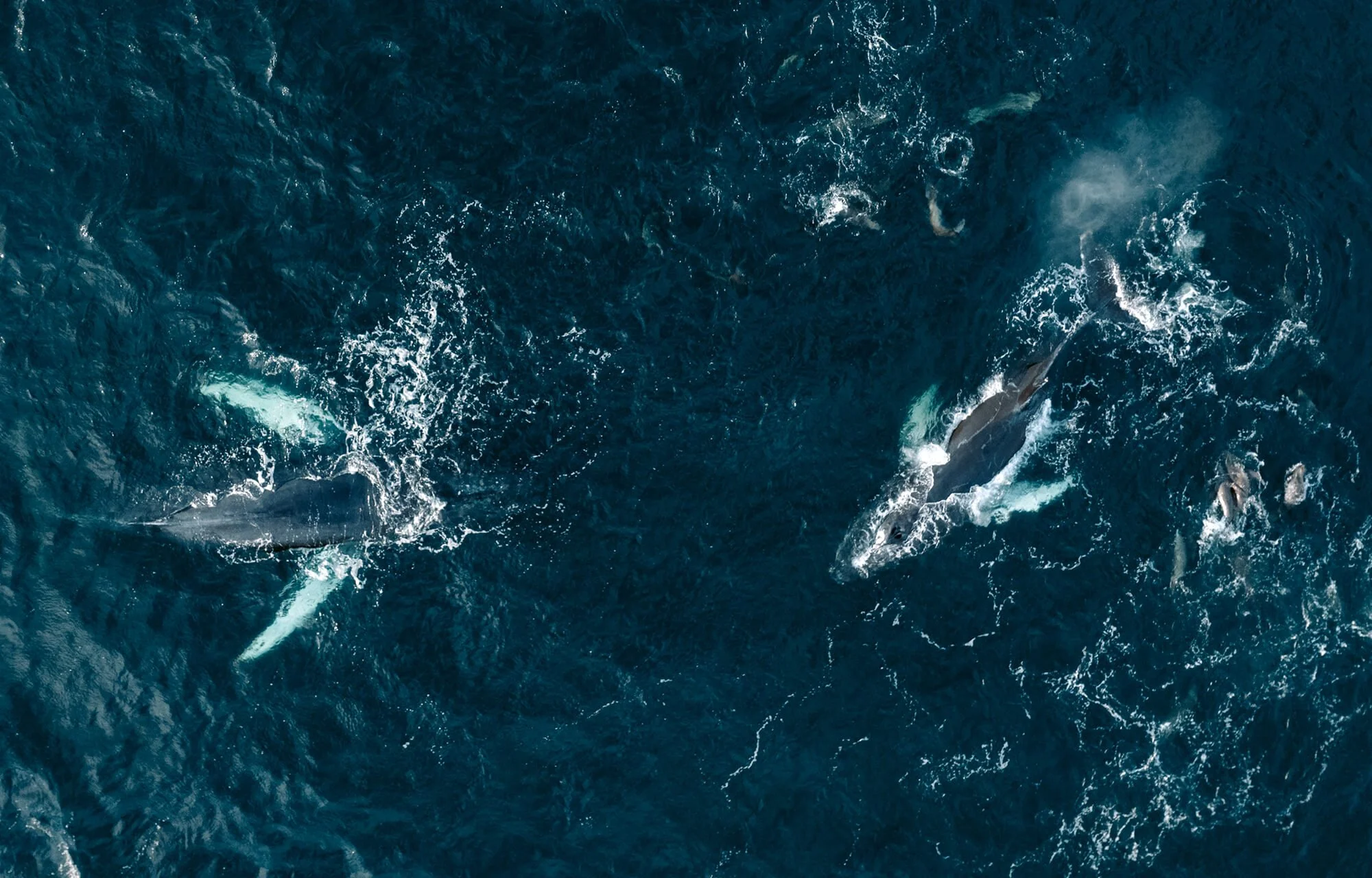 parley_penninsulamitre_4d inline.jpg