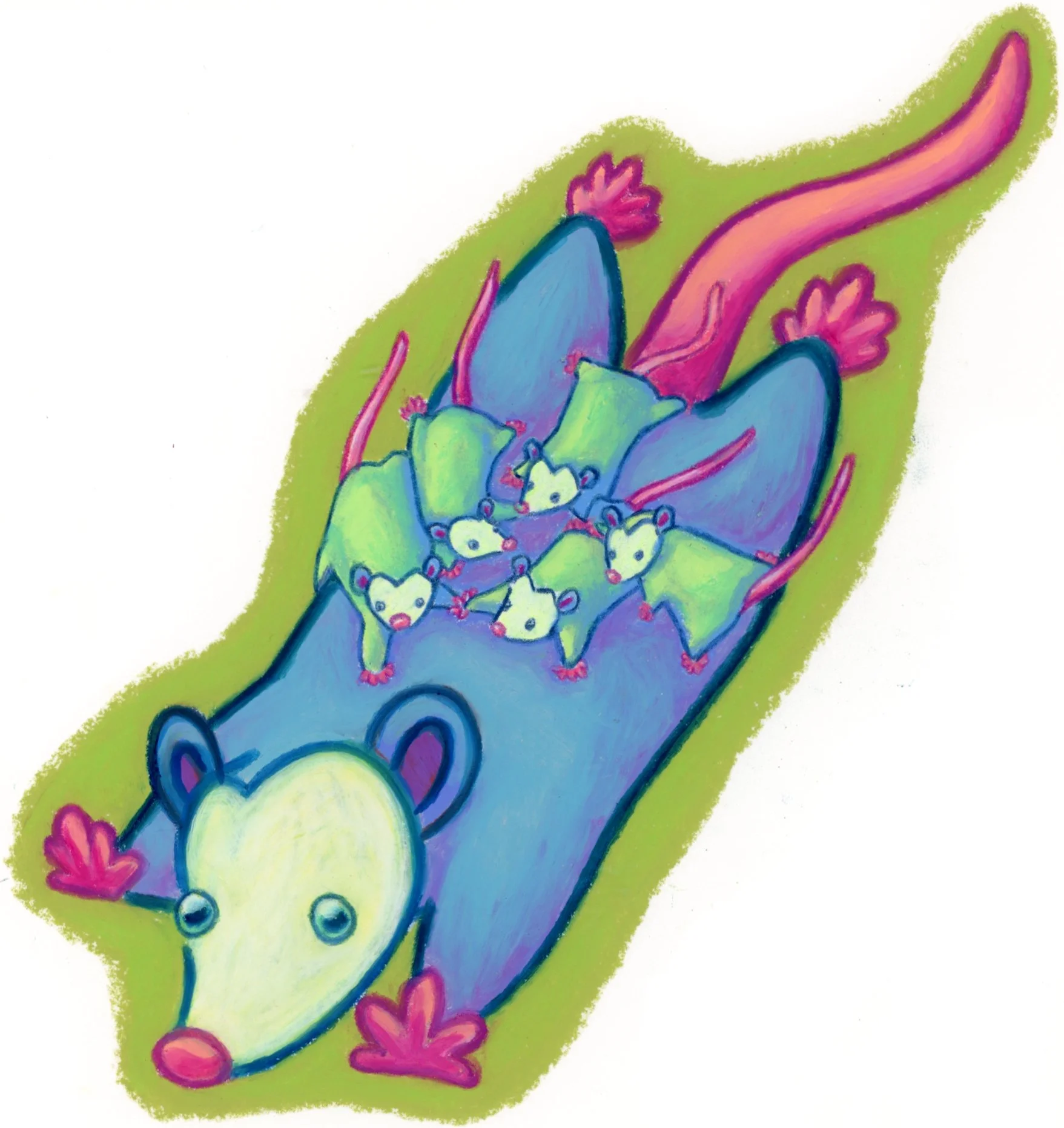 Colorful illustration of a blue and purple possum leaping downwards. Several baby possums are clinging on the mother possum's back. The background is light olive green.