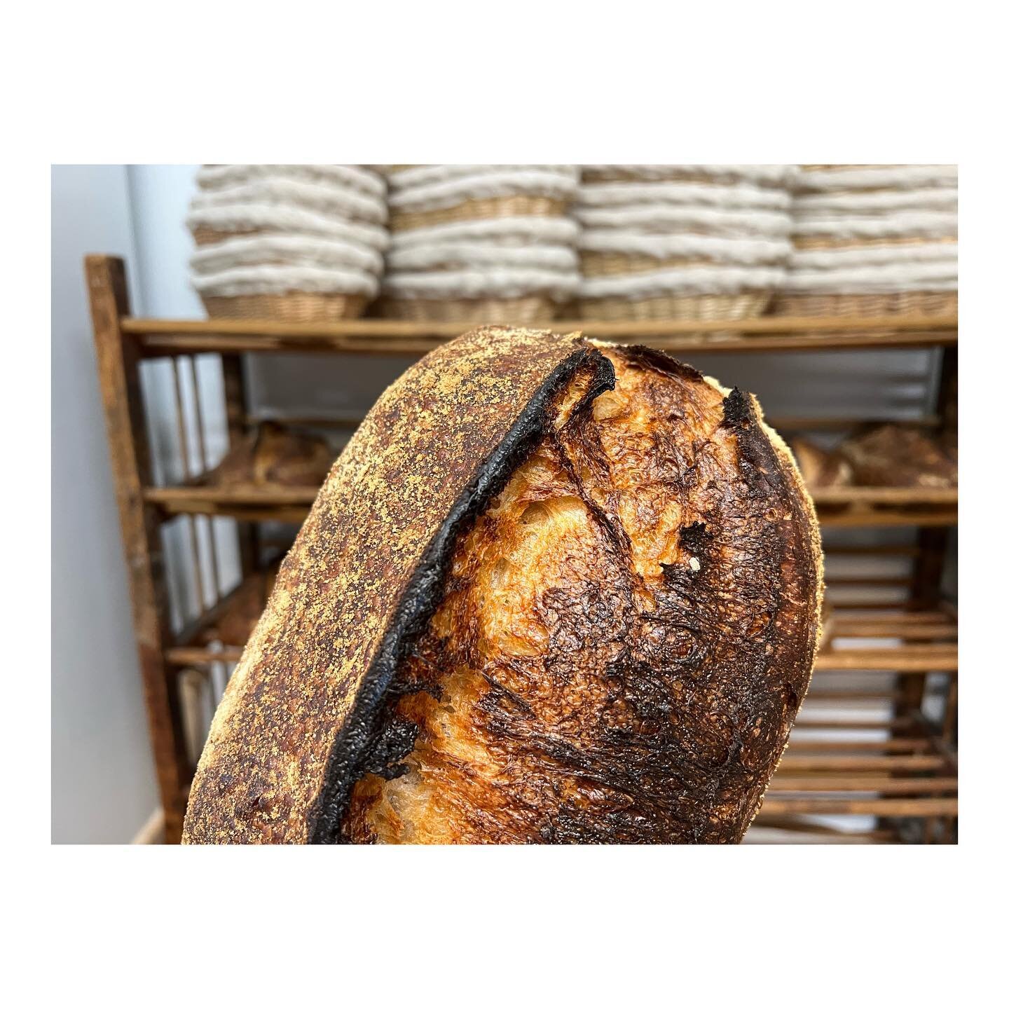 Testing negative and bread orders are live on the website.✌️See you Thursday for some fresh loaves.