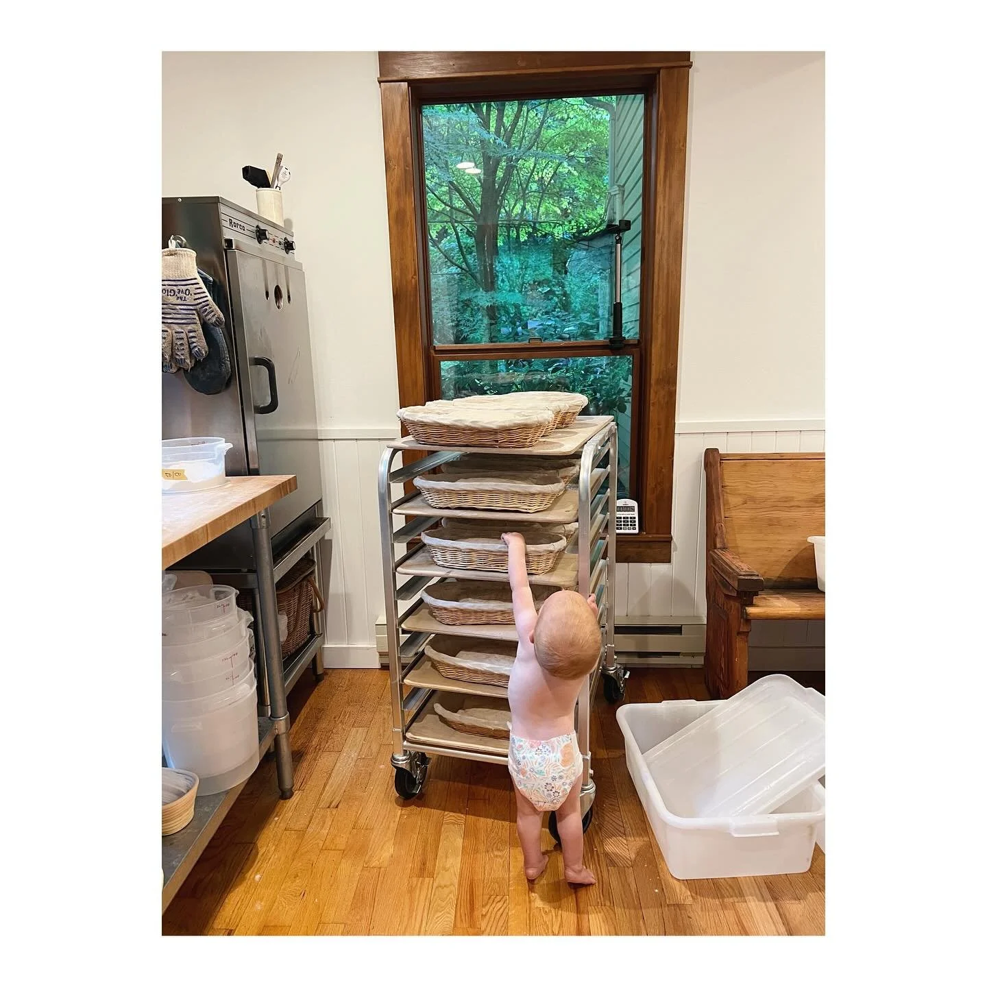 One more week of summer break, so no bread orders today/no bread Thursday. I&rsquo;ll be back at it next week! Thanks for your patience and understanding. To say I&rsquo;m grateful for a baking gig that allows me to both bake whatever I want AND prio