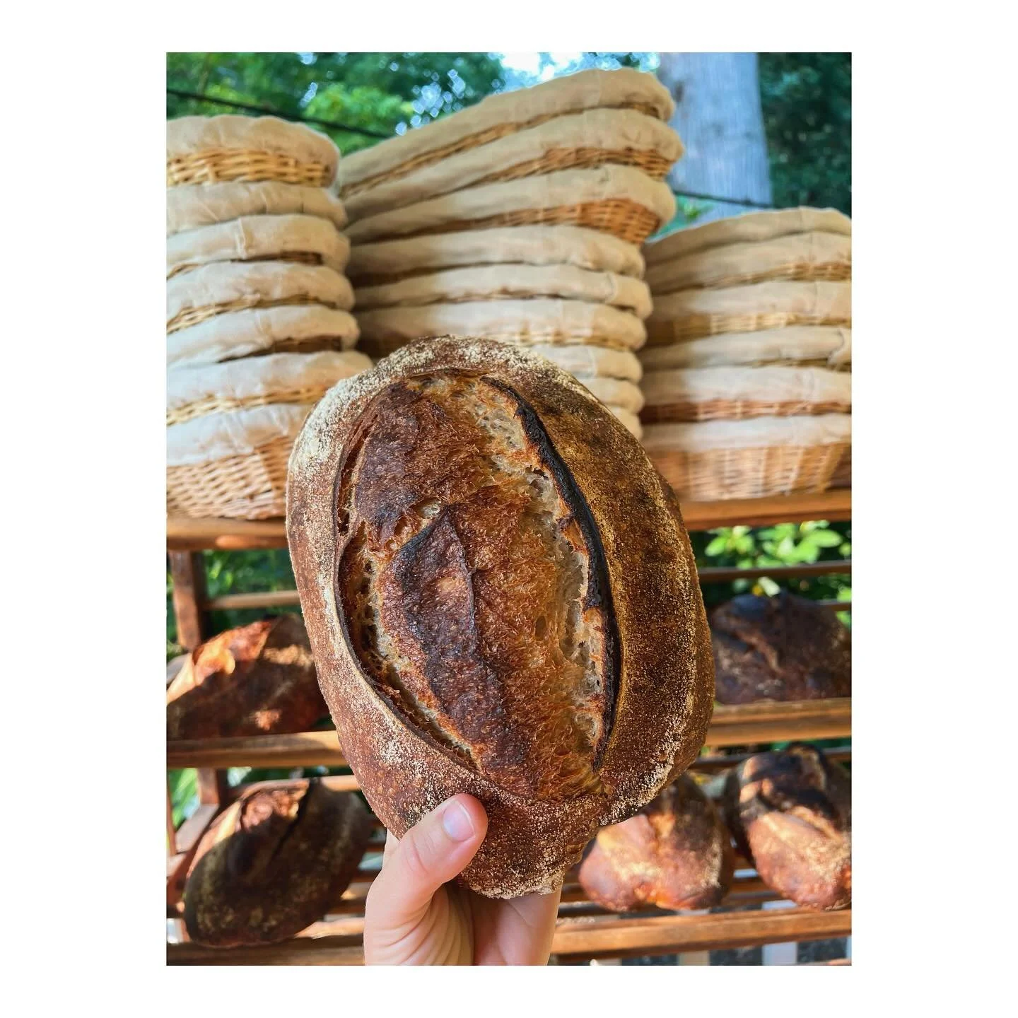 Oops forgot to post a reminder yesterday, but orders are *still open* if you&rsquo;d like a loaf this week! Link in bio and stories. See you on bread day 💛