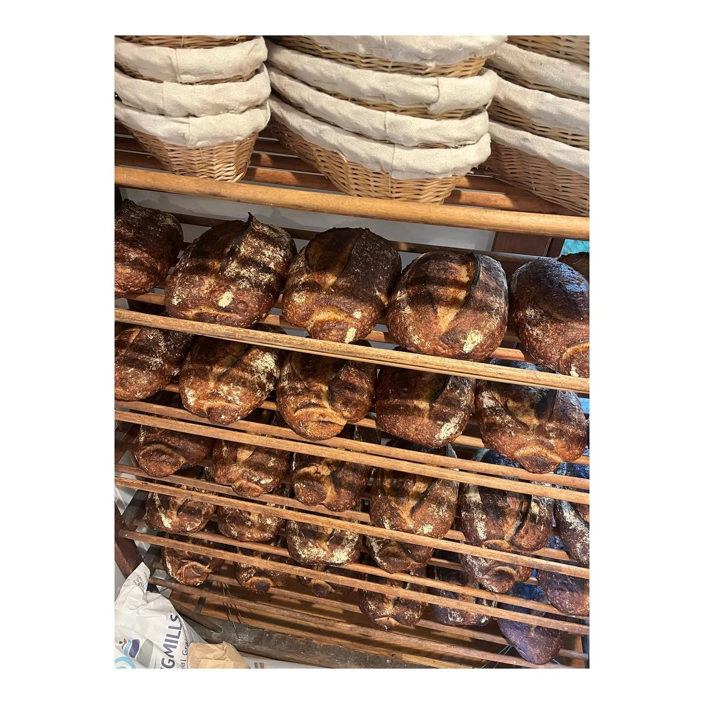 Orders are up on the website! We set a record for orders last week which I attribute greatly to ✨soup season✨, so jump on the bandwagon and get some Good Bread for your Good Soup. See you Thursday, breadheads.