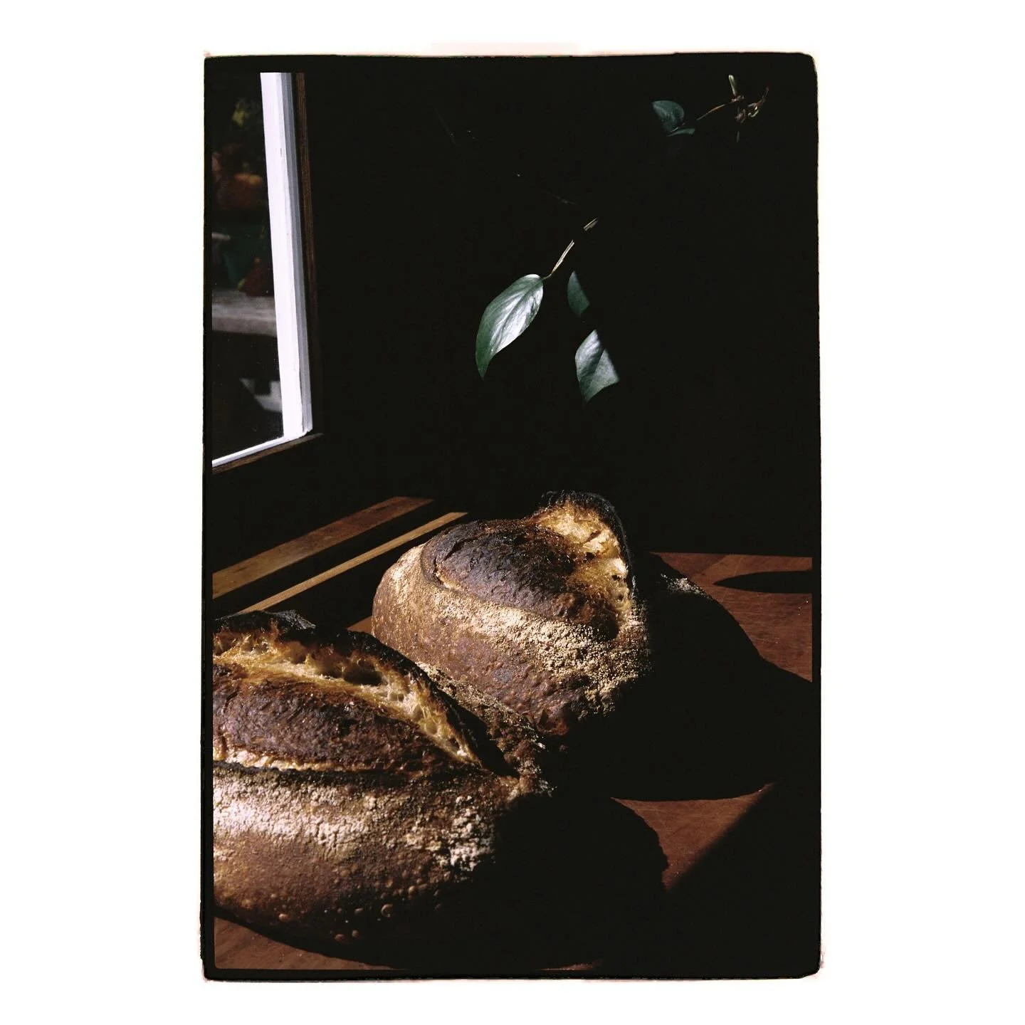 So many fun announcements this week, woah! Firstly, bread orders are open, sign yourself up for Thursday Bread at the link in bio/stories. And please admire this beauty shot of the bread by @hellopinecone . Erin, you are a goddess with a camera. Than