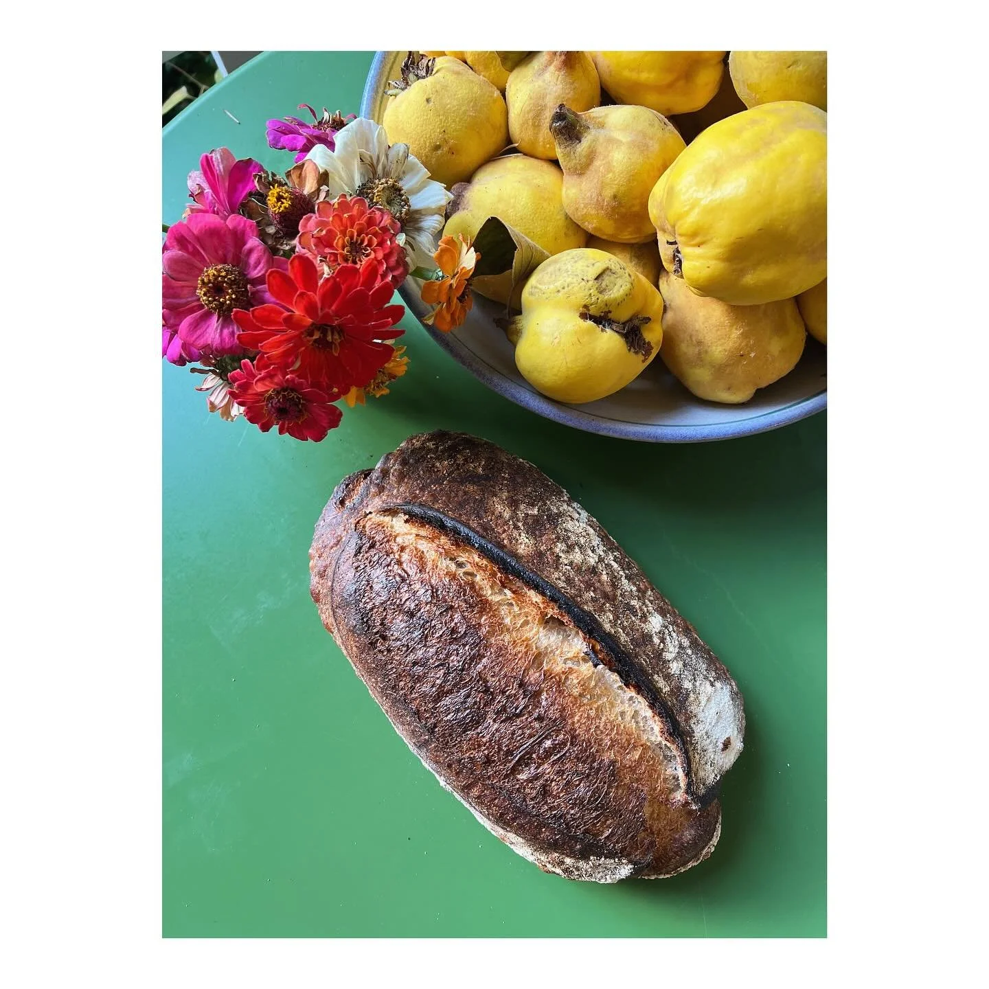 Bread orders are open! Head to the website to place your order✨ Been having fun making all these new/experimental/fancy loaves for the @coyotefarmhomestead Soup Group, but I literally will *never* tire of making my country loaf. I&rsquo;ve been tinke