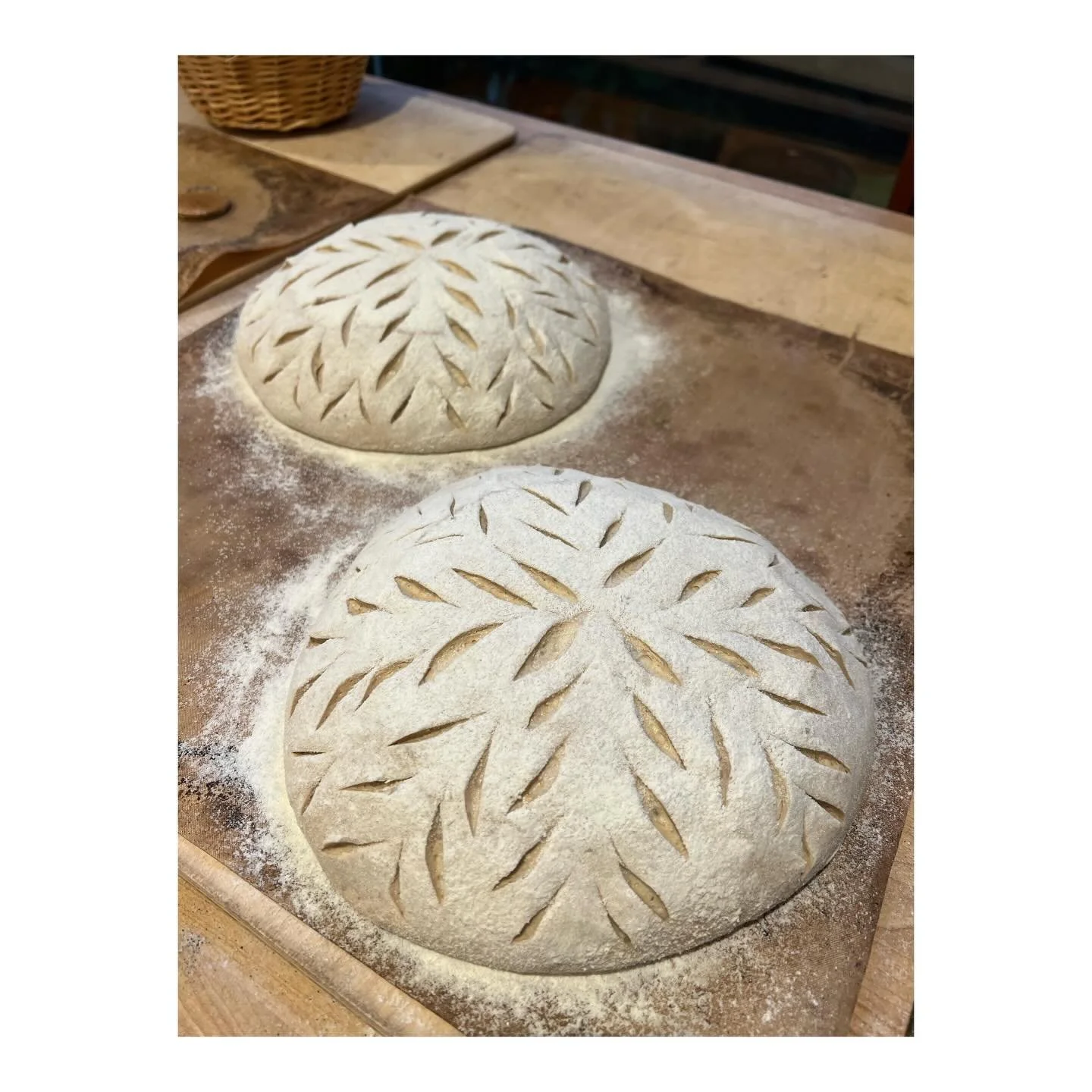 Orders are open on the website, and we&rsquo;re back to the usual Thursday baking schedule this week. Baking Miche *and* Country! And in the spirit of the season, $5 from each Miche will go to @helplinehouse (incl last week&rsquo;s sales!). 

P.s. I 