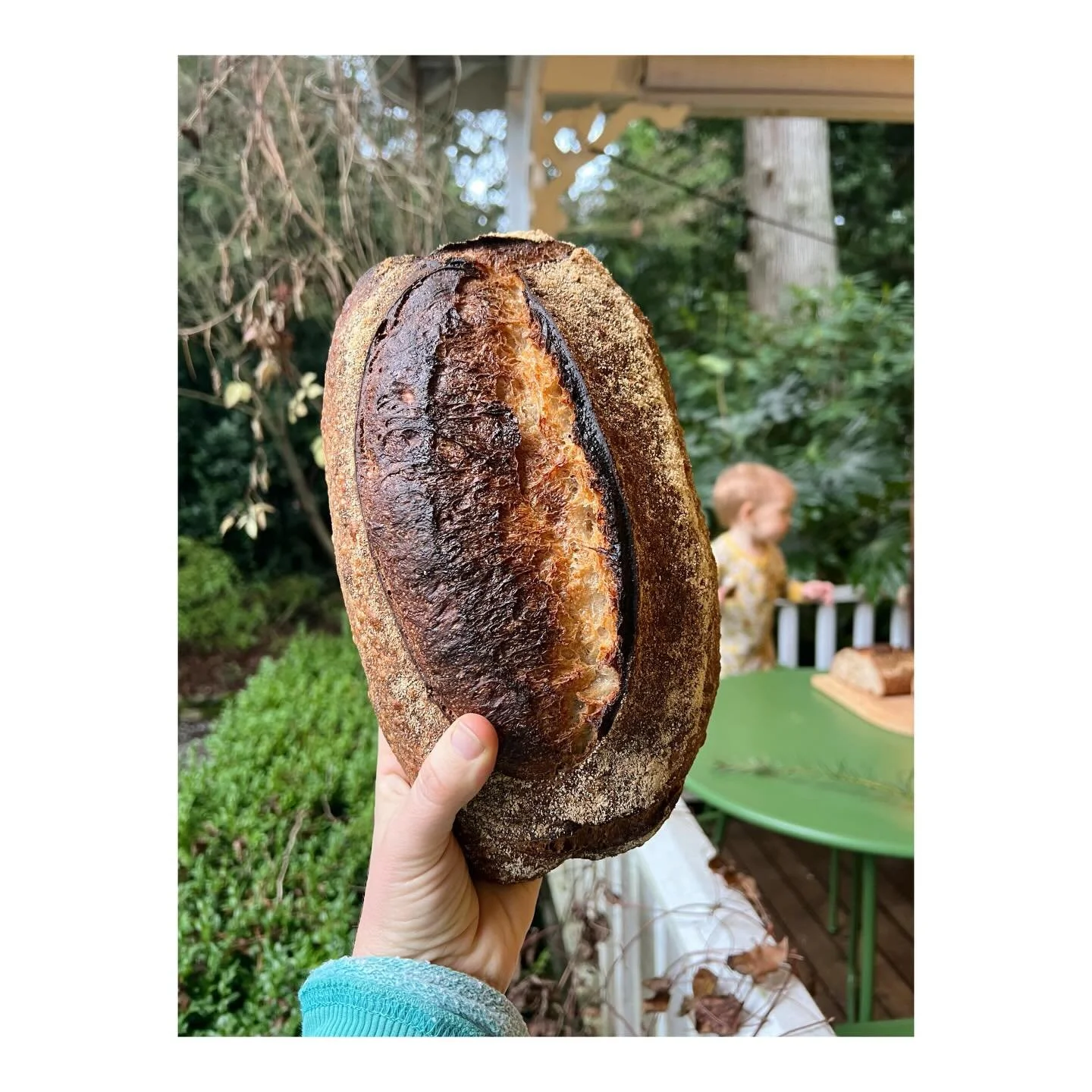 Bread orders are OPEN. Hope you and yours can get a little fresh bread in your lives this week. And soup. We all need bread and soup. Take care of each other out there, bread fam 🤍🤍🤍