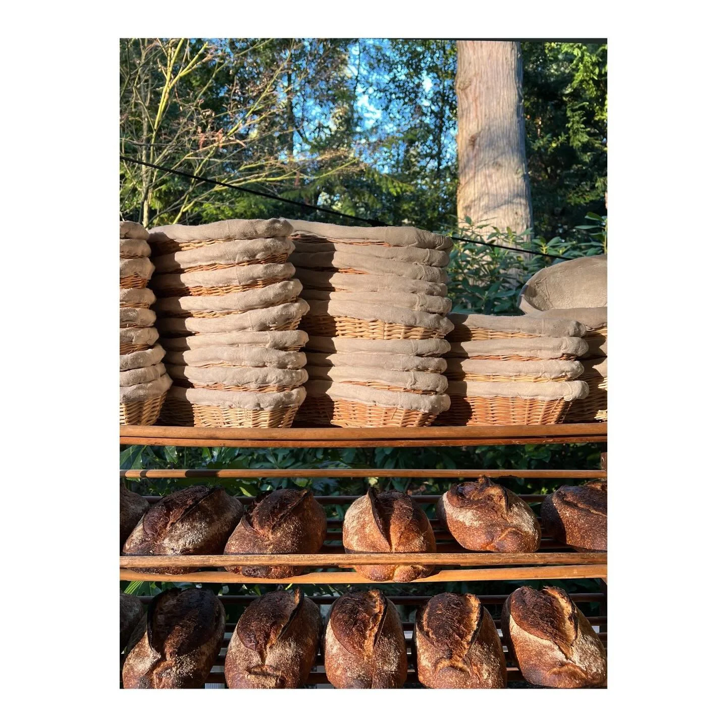 ABOLISH ICE!!! And eat good bread! Two things I can vehemently stand behind. Orders are open; order a loaf and let&rsquo;s commune and grieve together this week. Sending love to our neighbors both near and far. You are not alone, we&rsquo;re with you