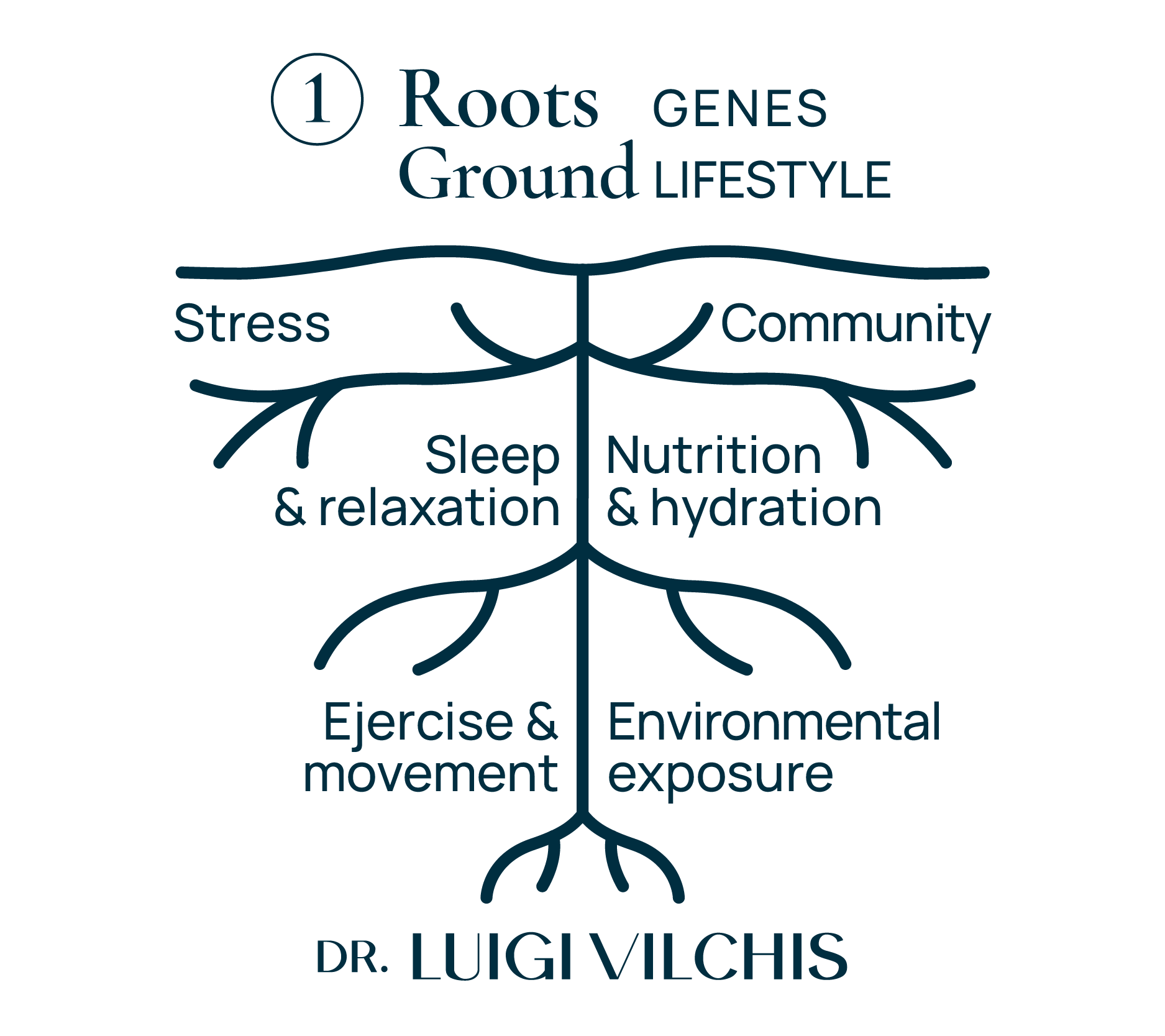 Roots ground