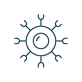 stem cell