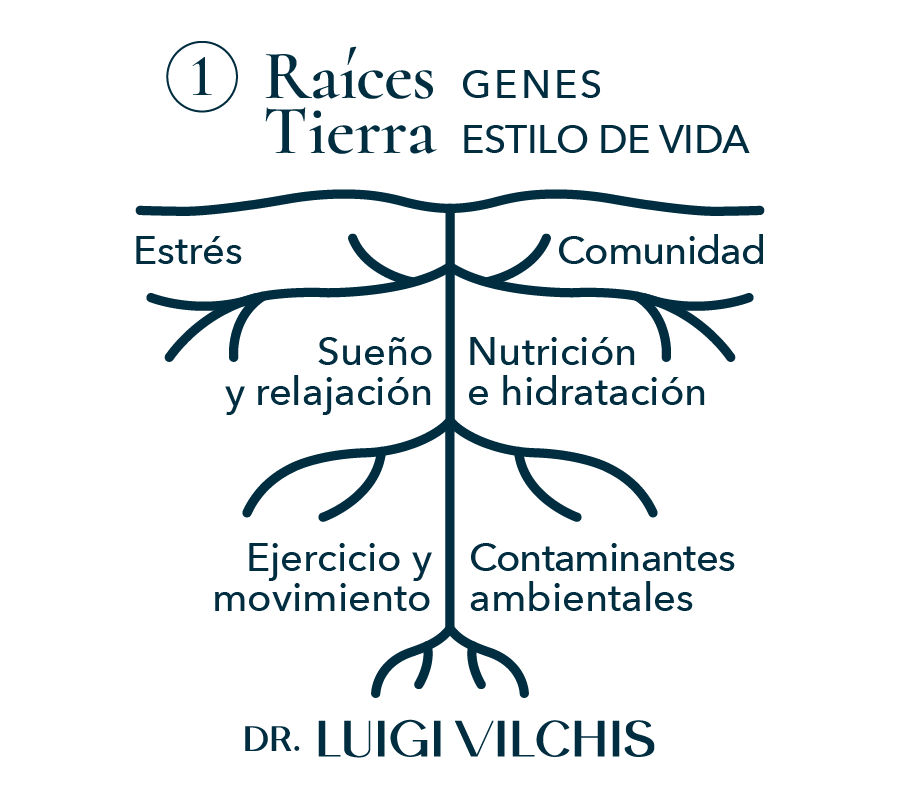 raices tierra