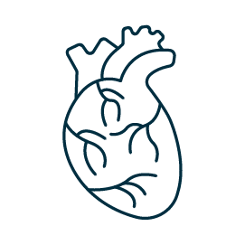 Salud cardiovascular