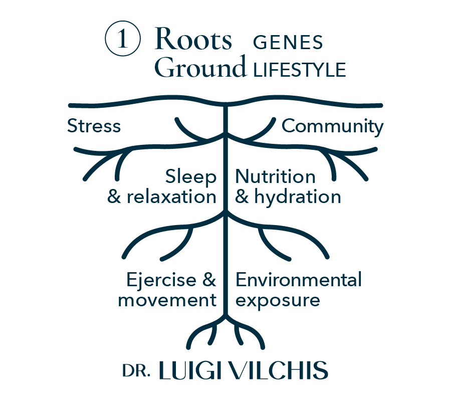Roots ground