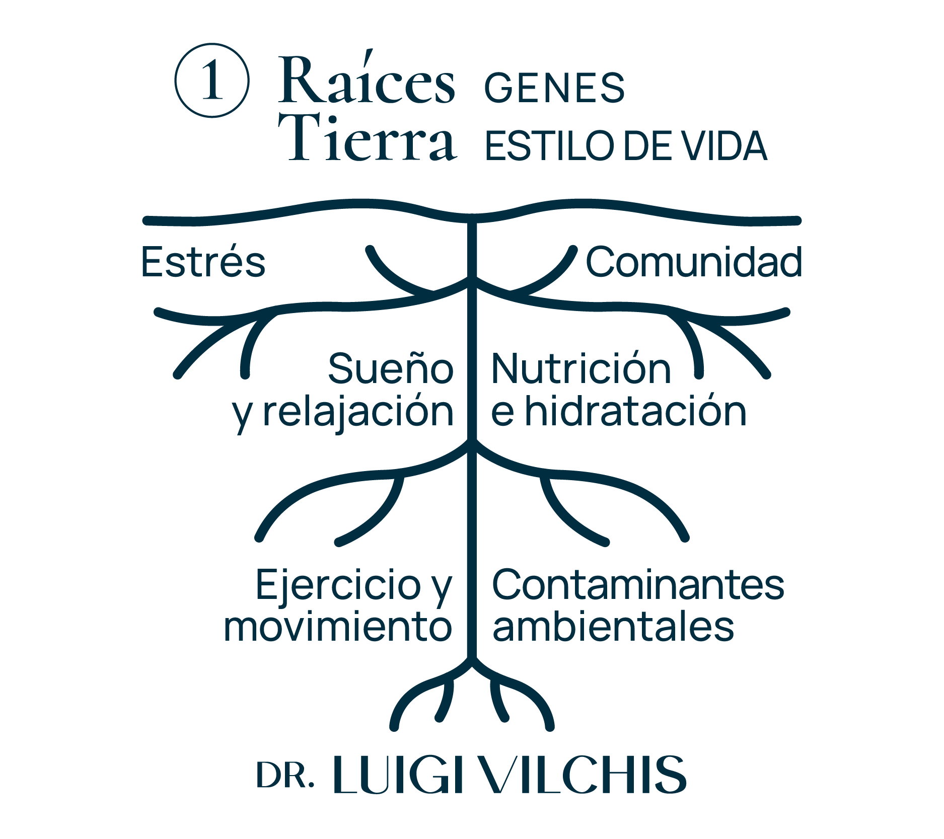 Raices tierra