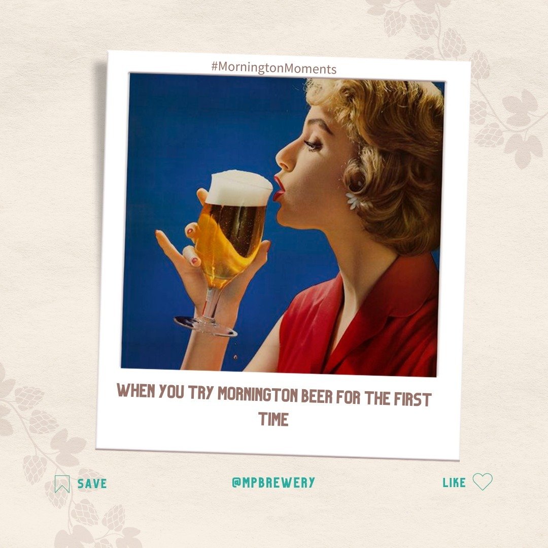 Experiencing that first sip of Mornington beer like... 😮➡️😍 It's not just a beer, it's a #BeerTransformation! Get ready to have your taste buds amazed. 🍺✨ Have you had your 'aha' beer moment yet? Share with us! 

#BeerMemes #FunnyBeer #MorningtonL
