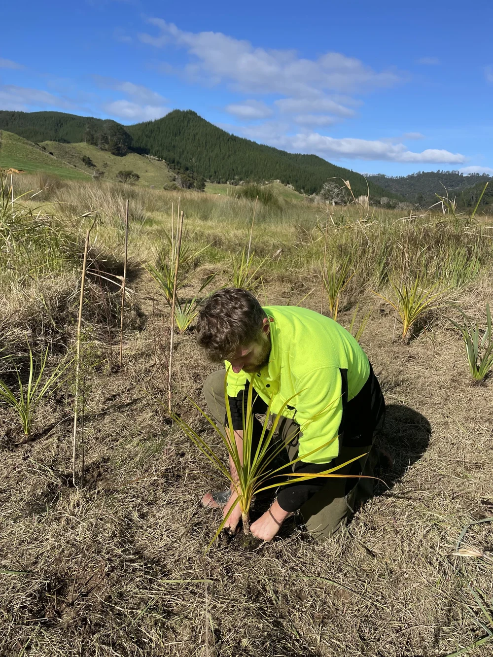 Field Support Team — Predator Free Hauraki Coromandel Community Trust