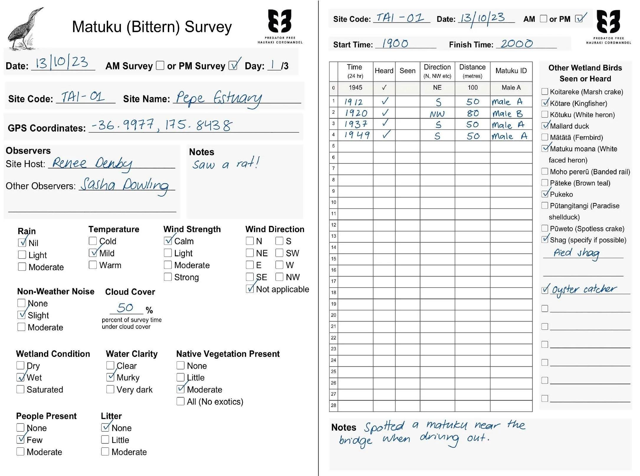 Regionwide Surveys | Matuku-Hūrepo | Australasian Bittern — Predator ...