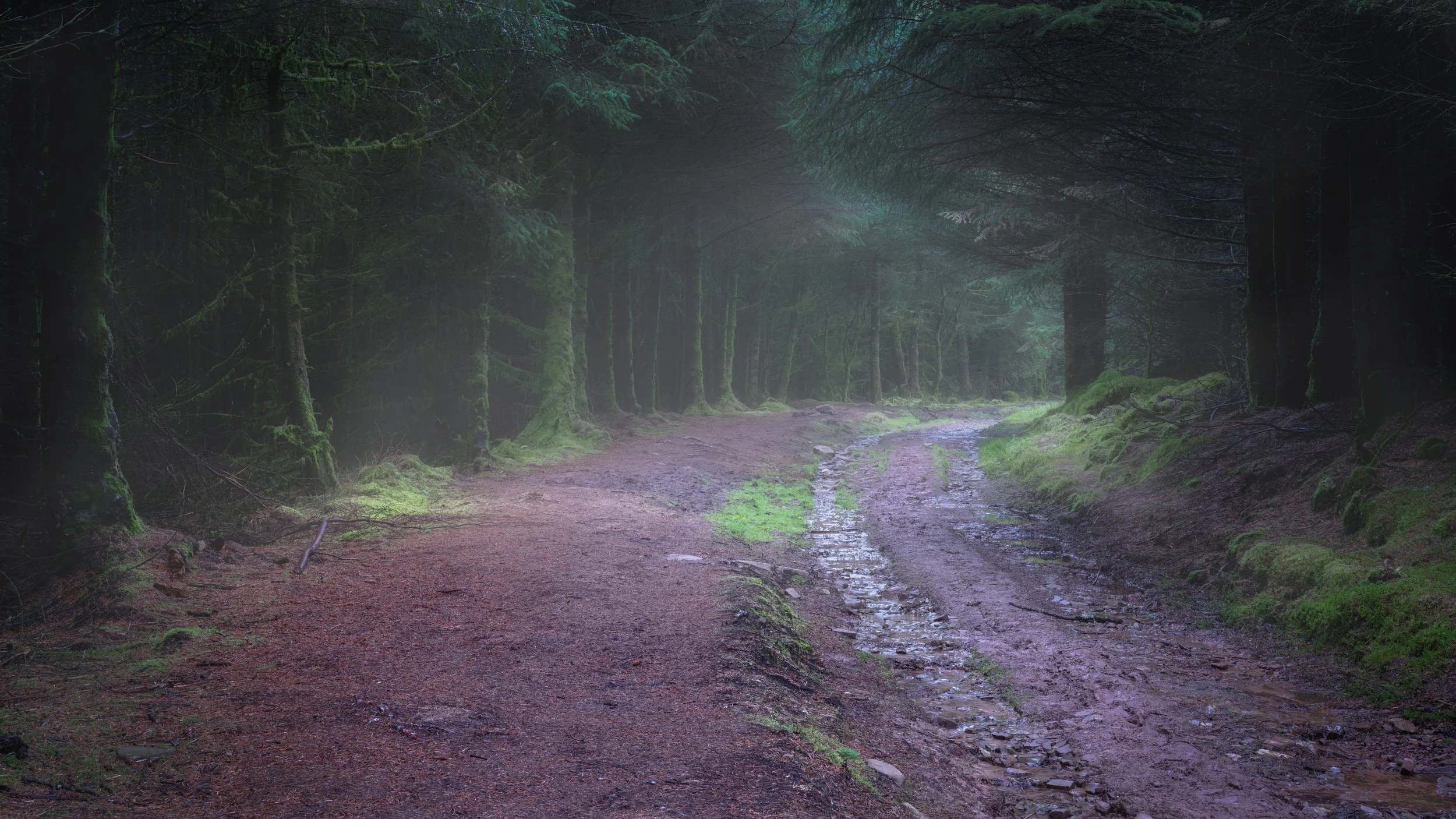_NGS3901-Edit.jpg