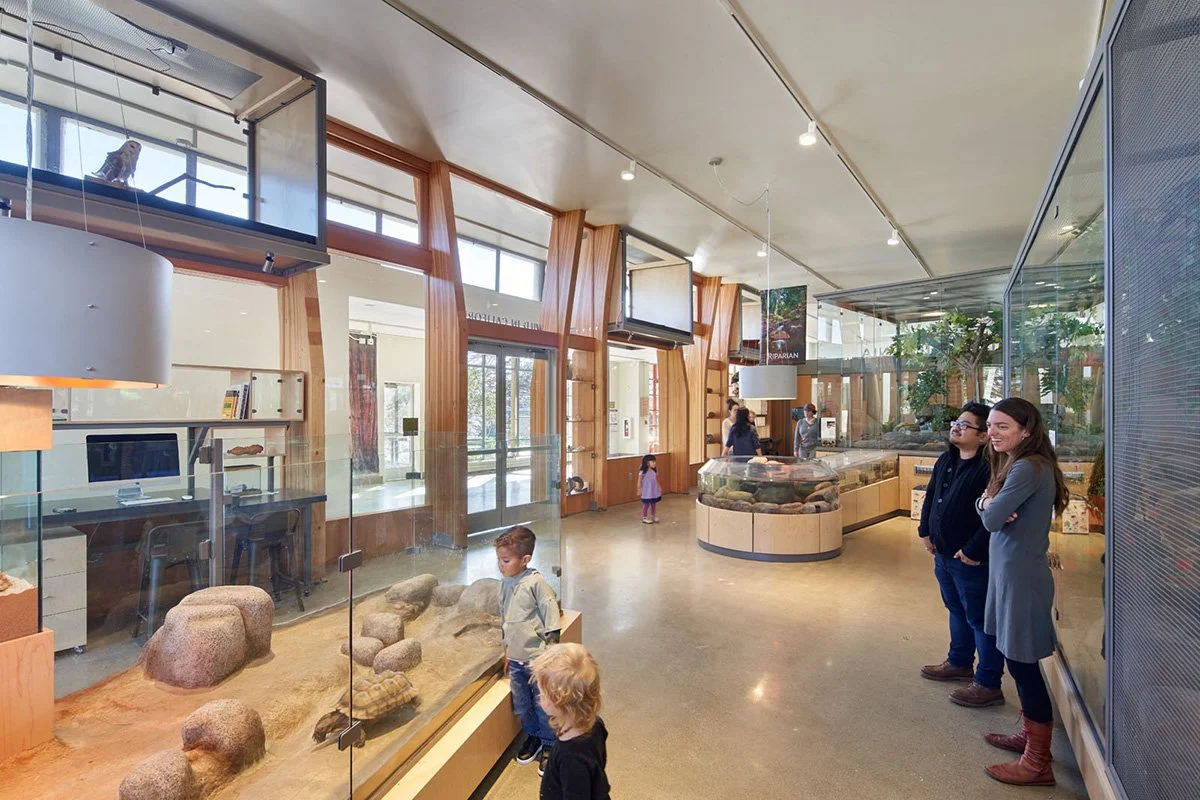 RandallMuseum_05.jpg