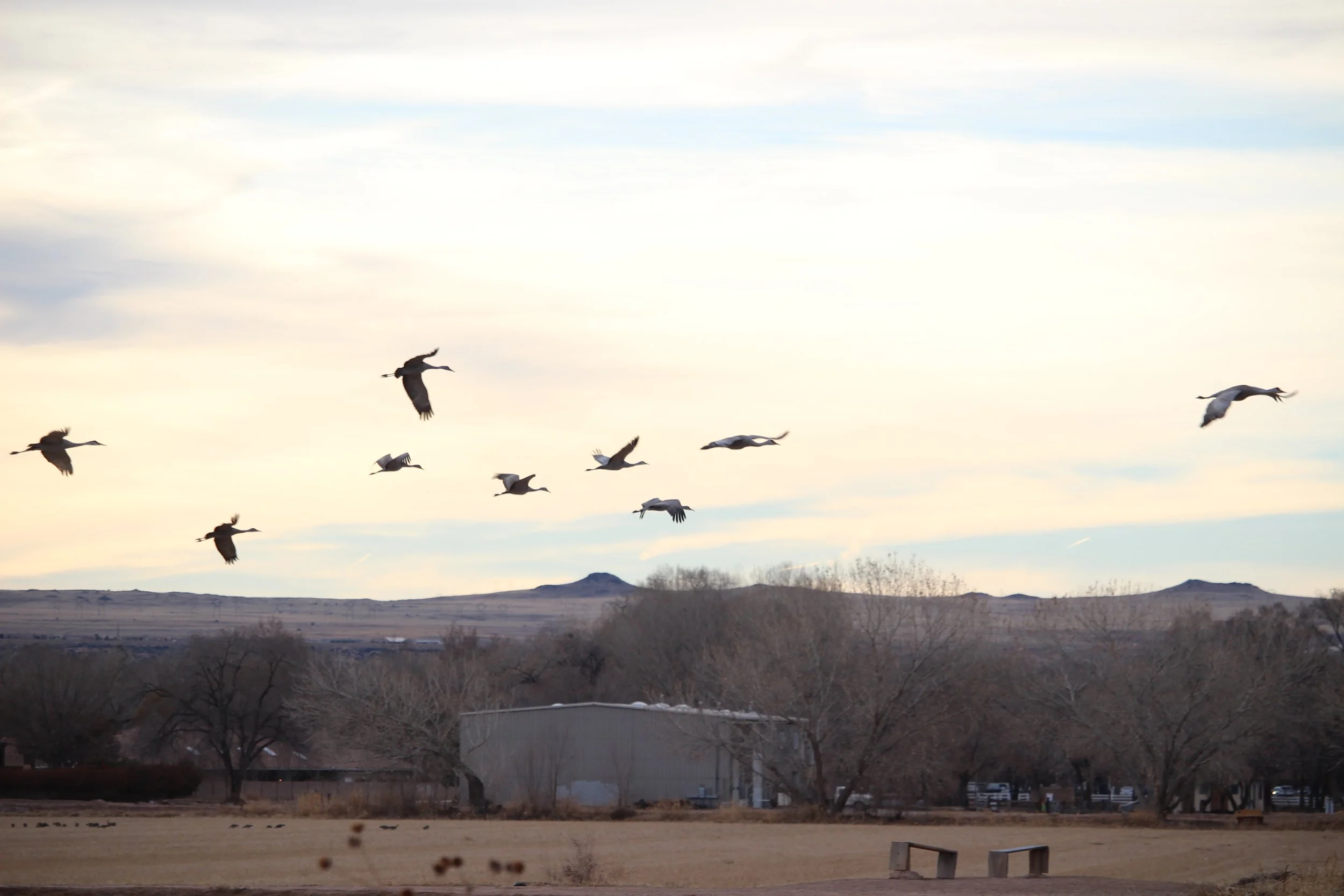  Photo by Lillie Lawrence 