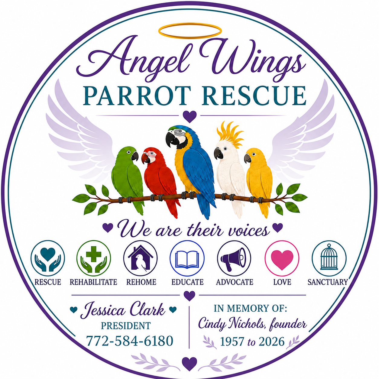 Angel Wings Parrot Rescue