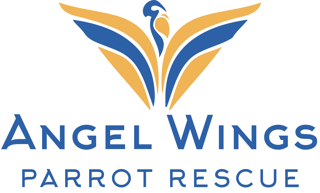 Angel Wings Parrot Rescue