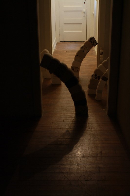 7485127_orig.jpeg