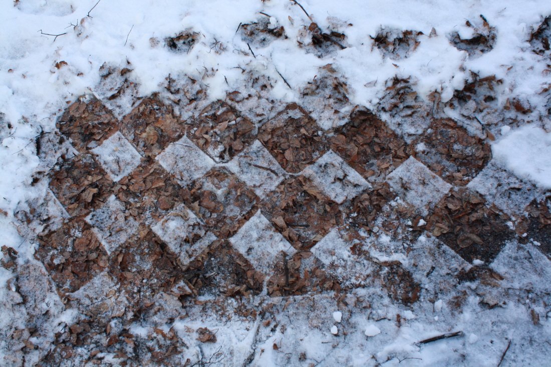 6001028_orig.jpeg