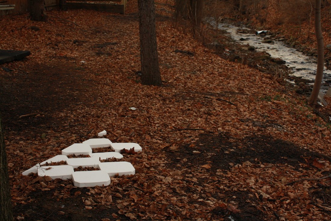 1113113_orig.jpeg