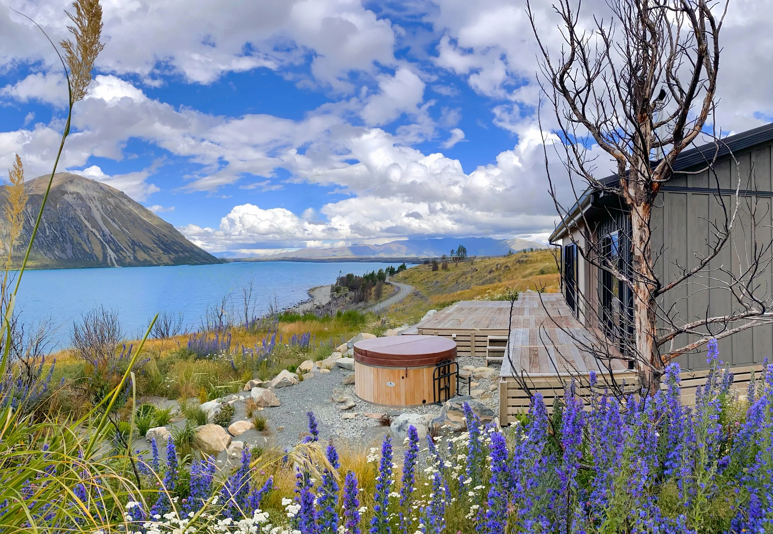 A lakeside scene with a wooden deck and hot tub surrounded by lupin flowers, a leafless tree, a house, a winding road, and mountains in the background under a partly cloudy sky. Lake Ohau Escape Lake-front AirBNB Accomodation, South Island, NZ