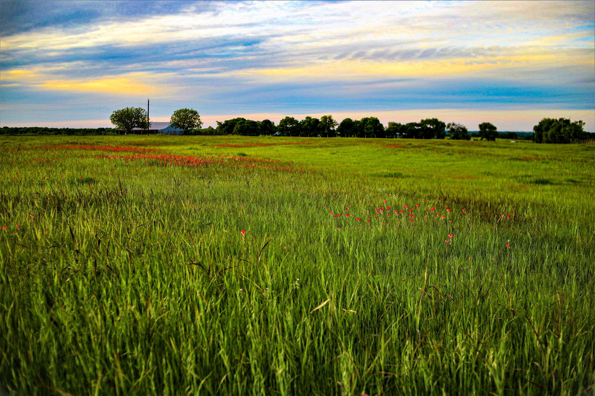 46854C77-CF9F-453F-BCBA-F0570A3A8606.jpeg