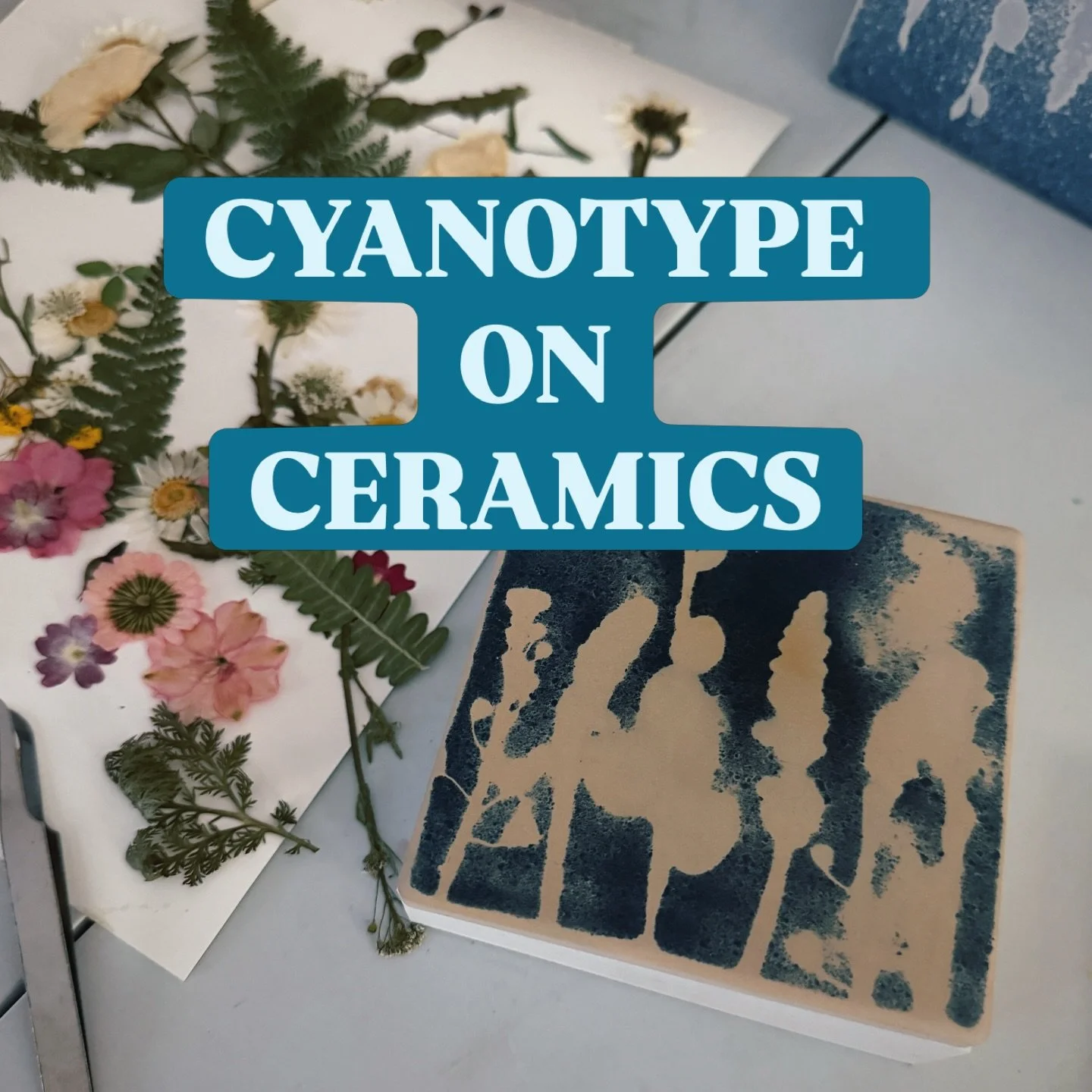 I&rsquo;ve been experimenting with cyanotype on ceramic surfaces for a while now.
Light, iron, time, prepping the surface&hellip; It&rsquo;s so fun!! I&rsquo;ll share the details soon😉 #cyanotypeart #cyanotypeprint #ceramic