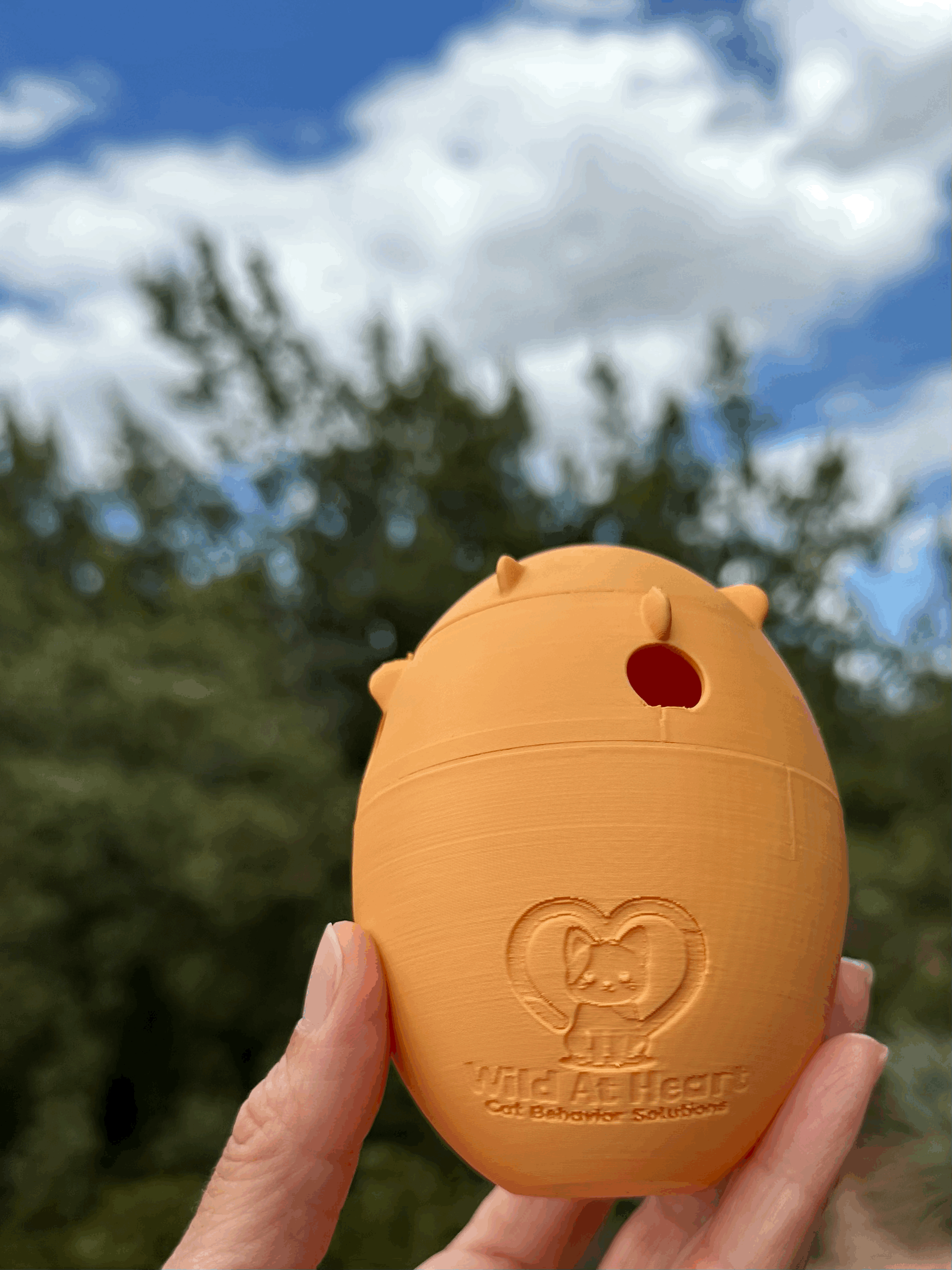 tempImagemPTa7V.gif