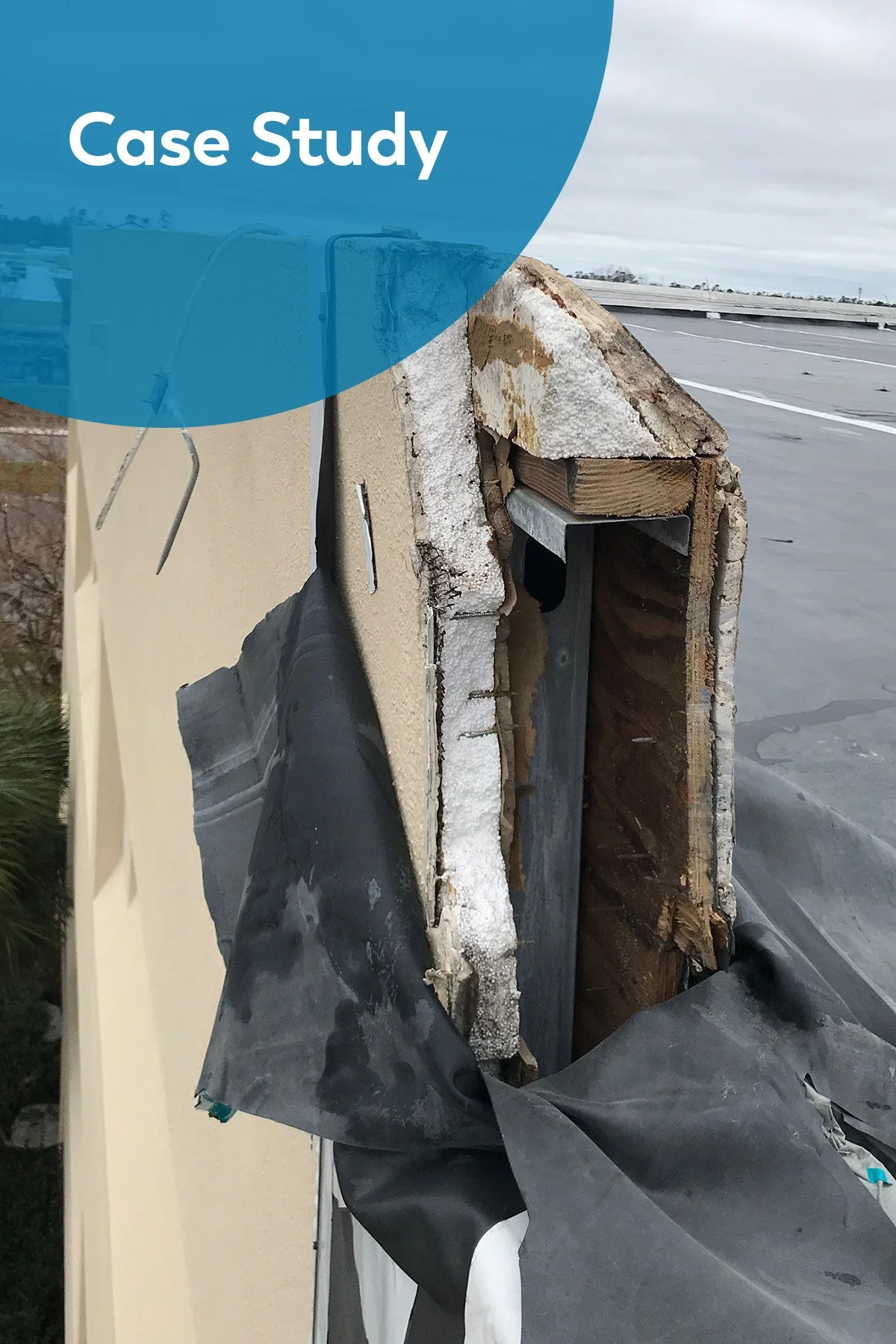 The Benefits of Forensic Architecture Techniques