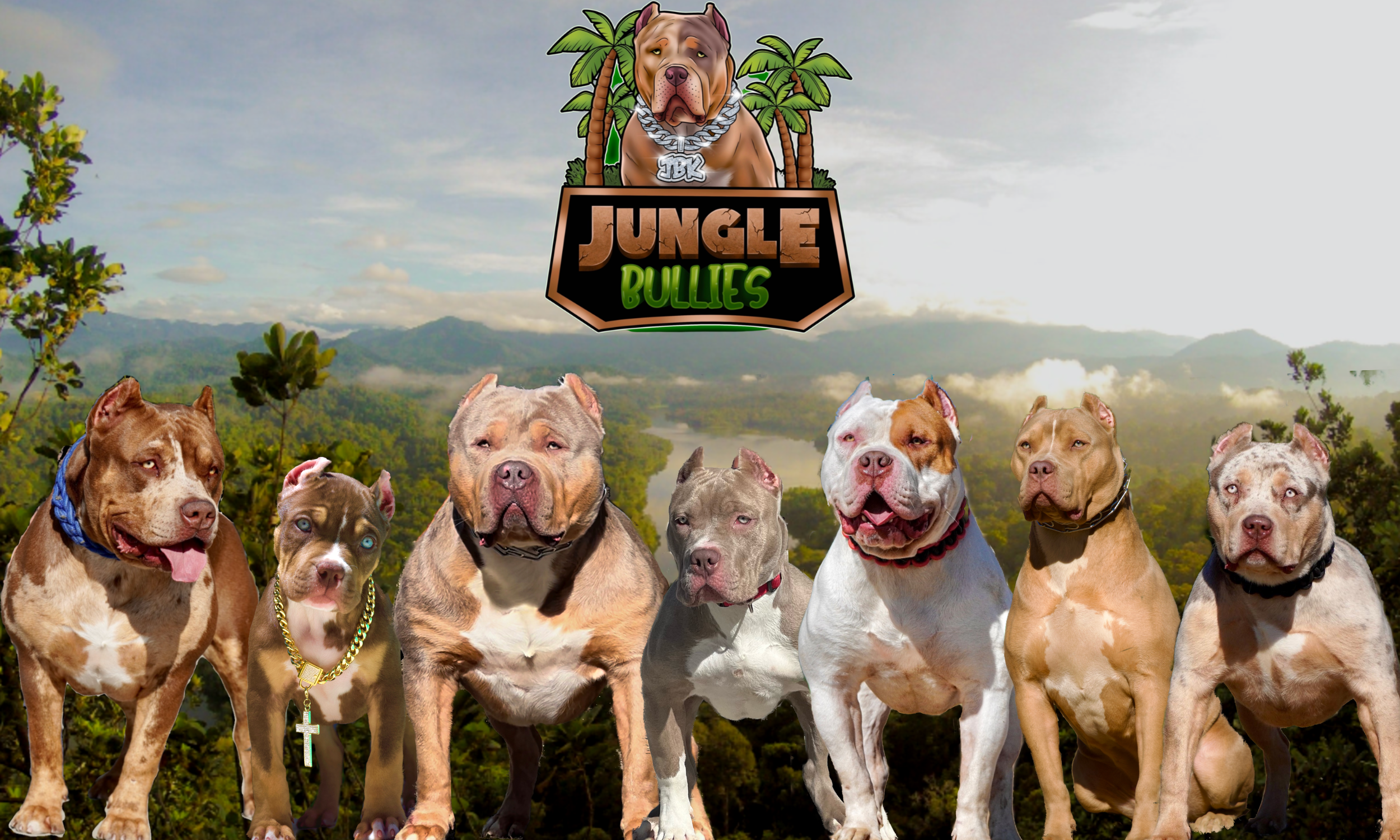 The Top XL American Bully Breeders in the World Right Now