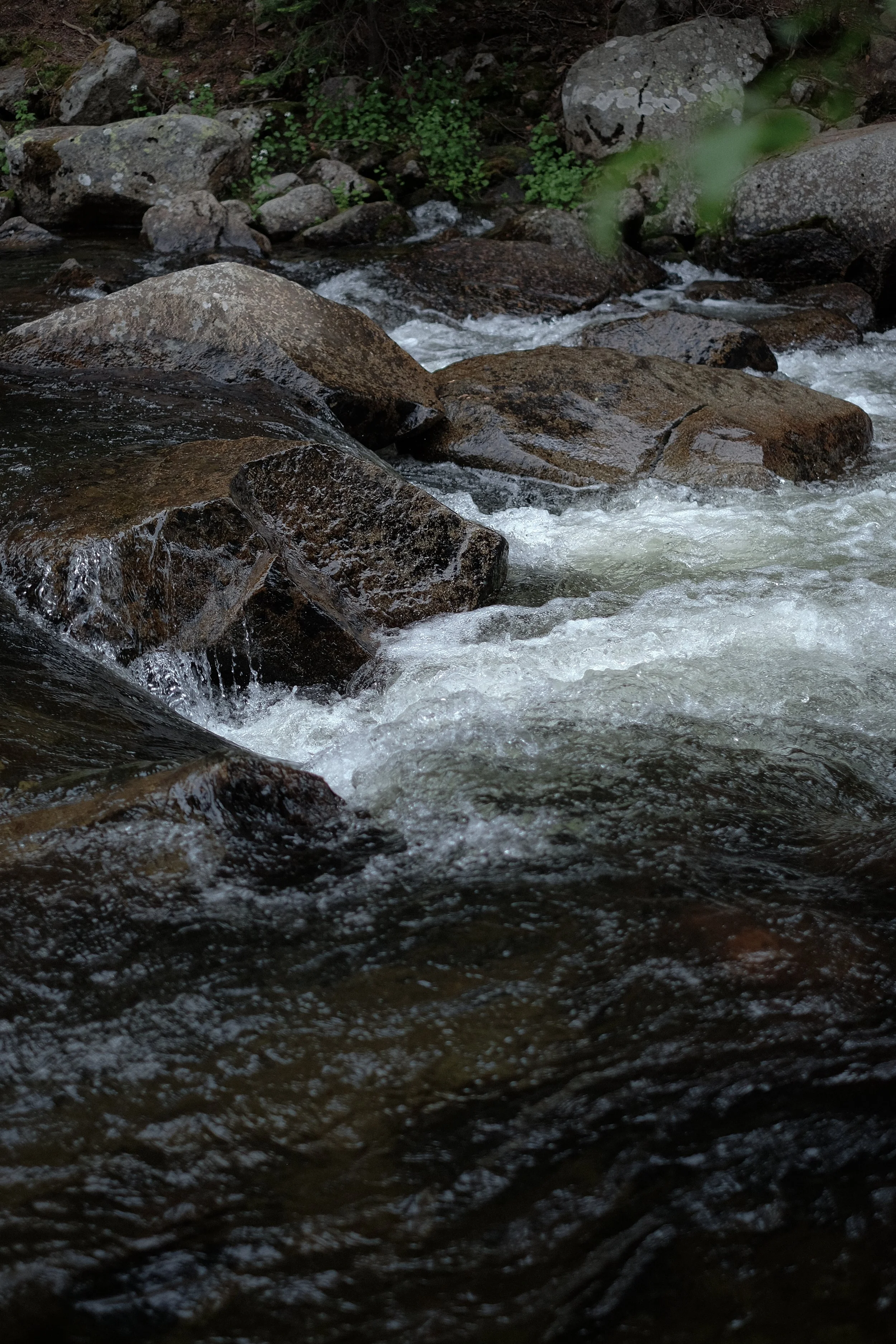 DSCF1670.jpg
