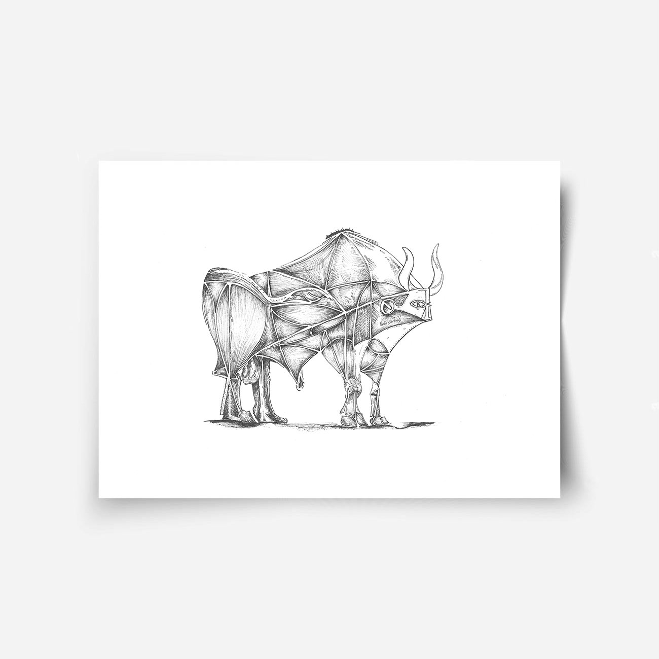El Segundo Toro (The Second Bull)