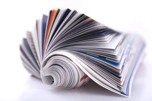 PRESSE : Article paru dans l'Opinion, 5 janvier 2017